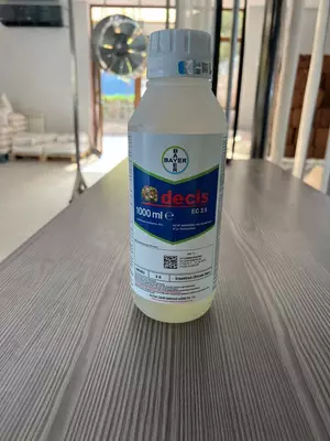 Decis