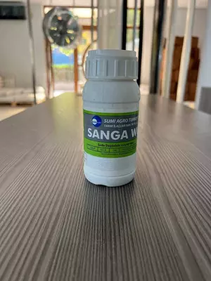 SANGA