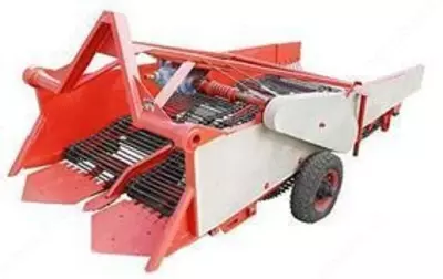 Картошка казгич