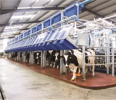 Соғим залиDairymaster