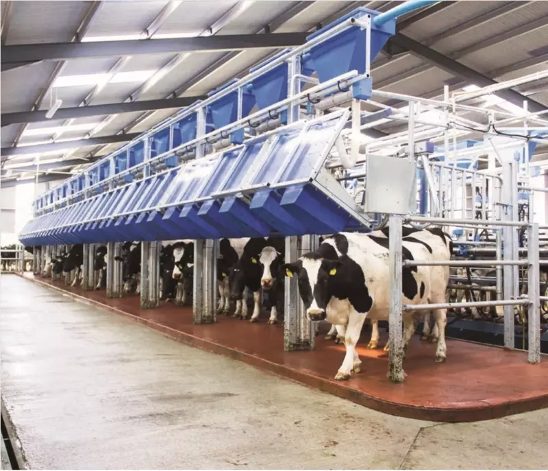 Соғим залиDairymaster