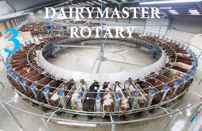 Соғим залиDairymaster