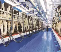 Соғим залиDairymaster