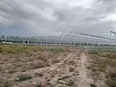 Zanglamaydigan metaldan issiqxona