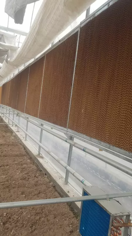 Zanglamaydigan metaldan issiqxona