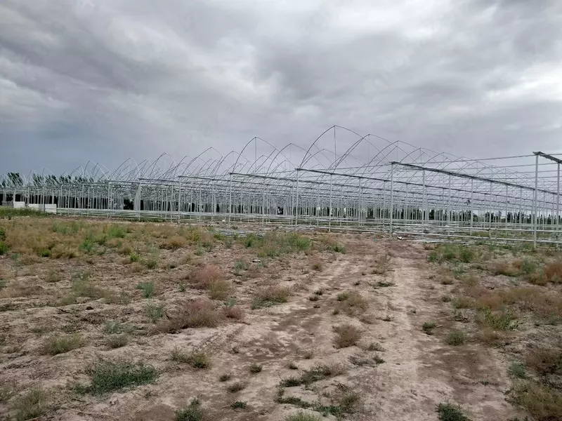 Zanglamaydigan metaldan issiqxona