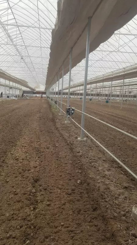 Zanglamaydigan metaldan issiqxona