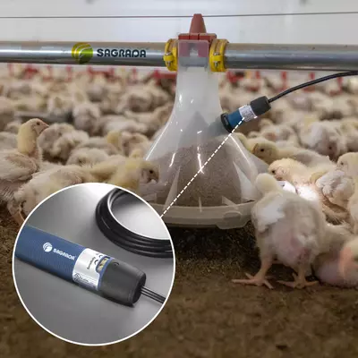 Oziqlantiruvchi sensorlar