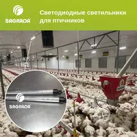 Светодиодные светильники для птичников