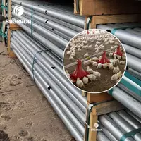 Omborida broyler ozuqa quvurlari