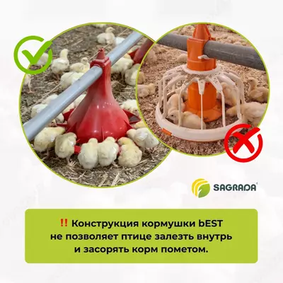 Автоматические кормушки для бройлеров bEST