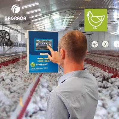 Автоматический климат-контроль для птичников