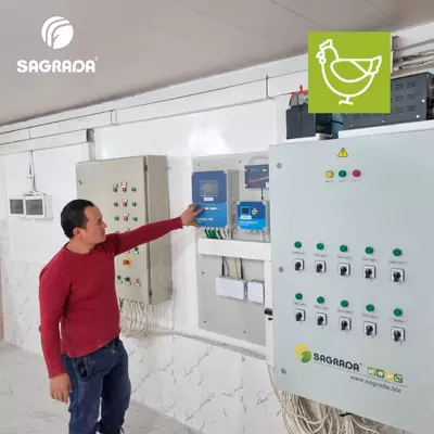 Автоматический климат-контроль для птичников