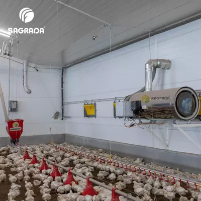 Оборудование для выращивания бройлеров с удаленным контролем