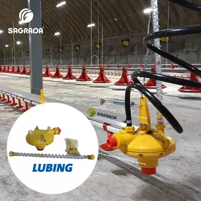 Broyler ichimlik liniyalari uchun suv bosimi regulyatorlari