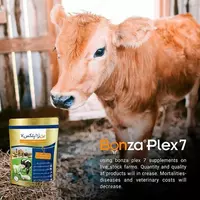 Бонзаплекс 7