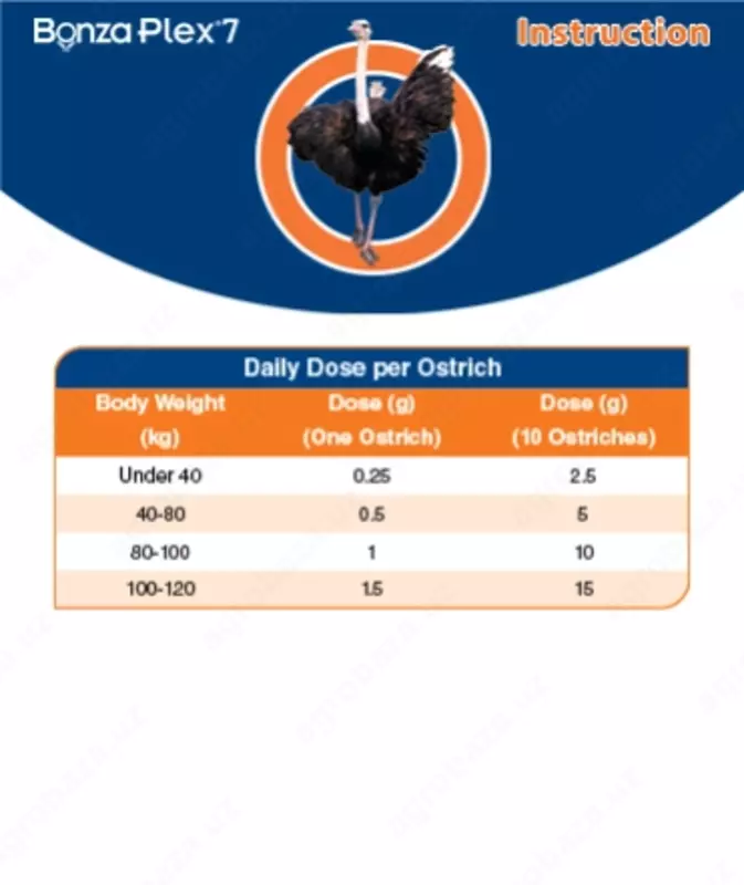 Бонзаплекс 7