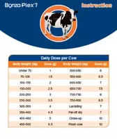 Бонзаплекс 7