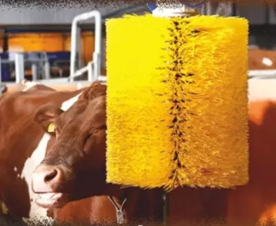 Chesalka ЧЕСАЛКА ДЛЯ КРС