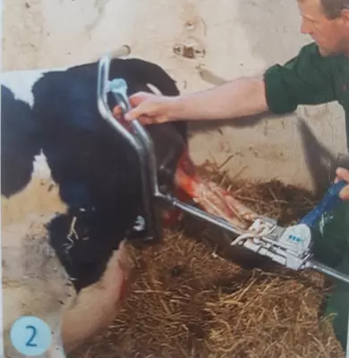 HR AKUSHER BUZOQ TORTUVCHI