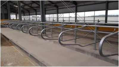 TO'SIQ OGRAJDENIYA LEJANKA