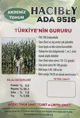 makkajoxori маккажохори уруг оптом birinchi qo'ldan!