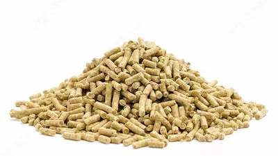 балиқлар учун оғиз