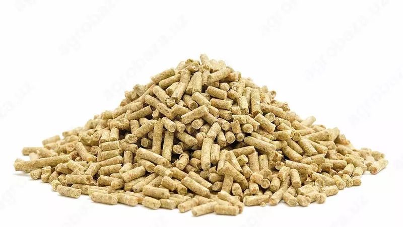 балиқлар учун оғиз