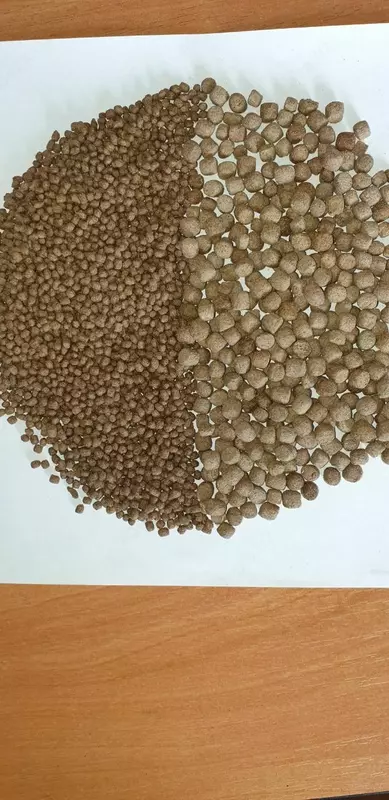 балиқлар учун оғиз