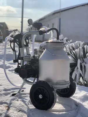 ILGUN Sut sog`ish apparati