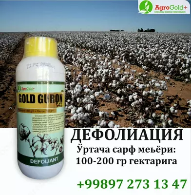 ГОЛД ГУРОН 54%