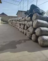 Дахшат Силос!! Дони Куп-100%!!