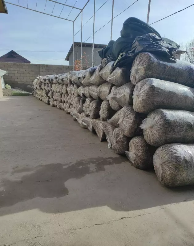 Дахшат Силос!! Дони Куп-100%!!