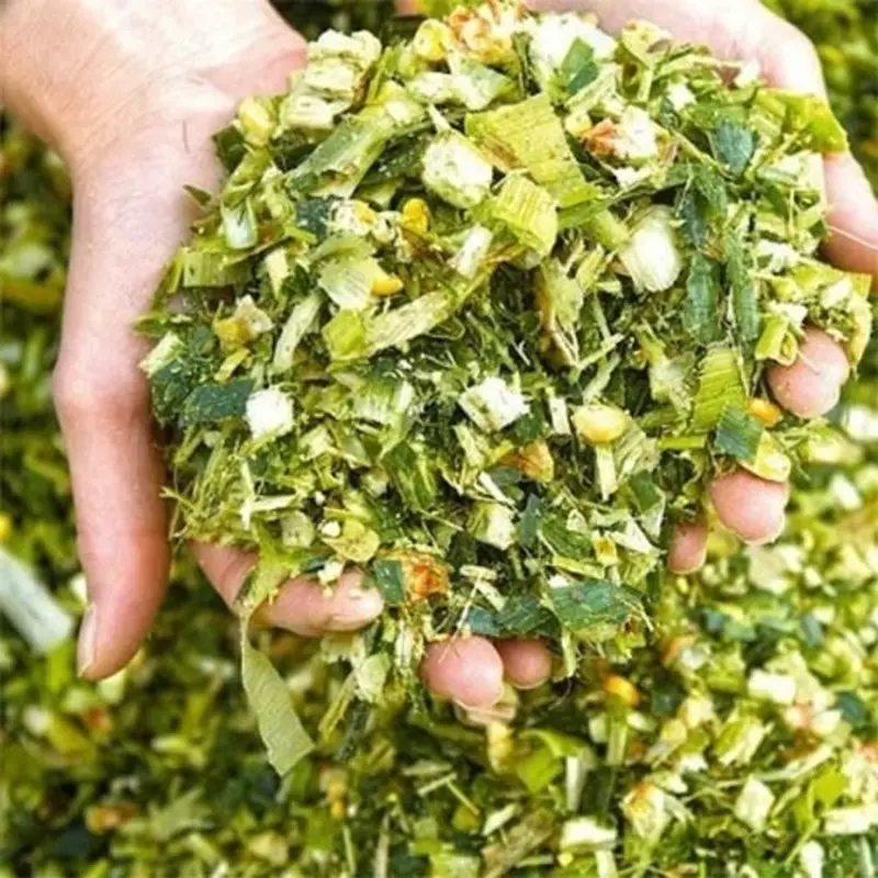 Дахшат Силос!! Дони Куп-100%!!