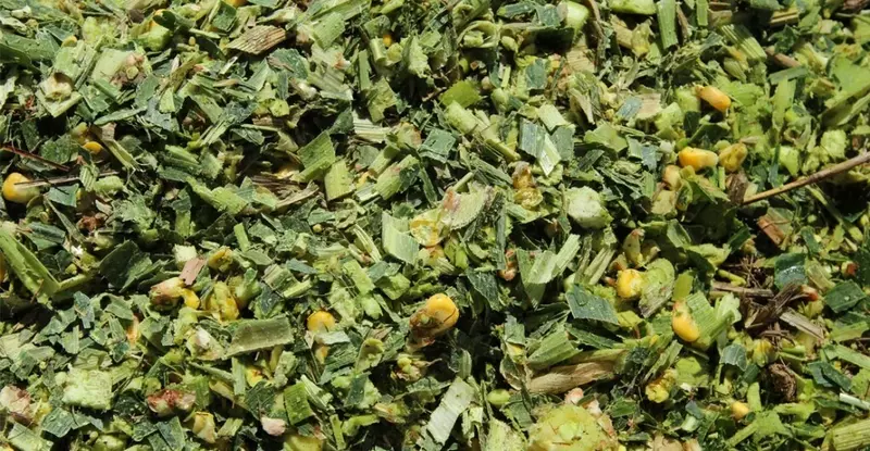 Дахшат Силос!! Дони Куп-100%!!