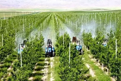 "Extrafos" минеральные удобрения