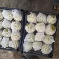 meva va sabzavotlarni qadoqlash