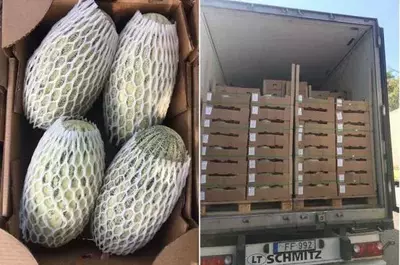 сетка для фруктов