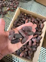 Финики Мазафати