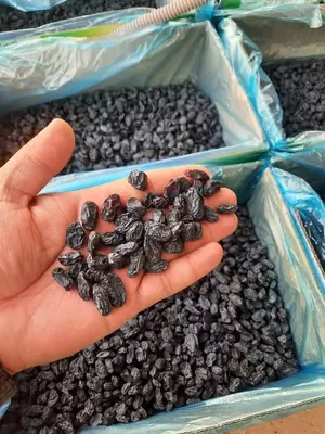 Изюм черный жамбо. Экспорт из Узбекистана