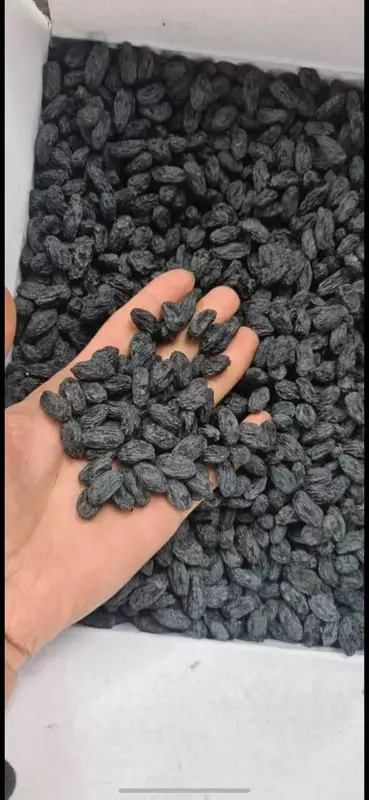 Изюм черный стд. Экспорт из Узбекистана