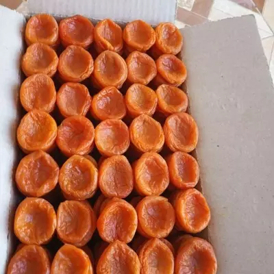 Курага Субхон. Экспорт из Узбекистана