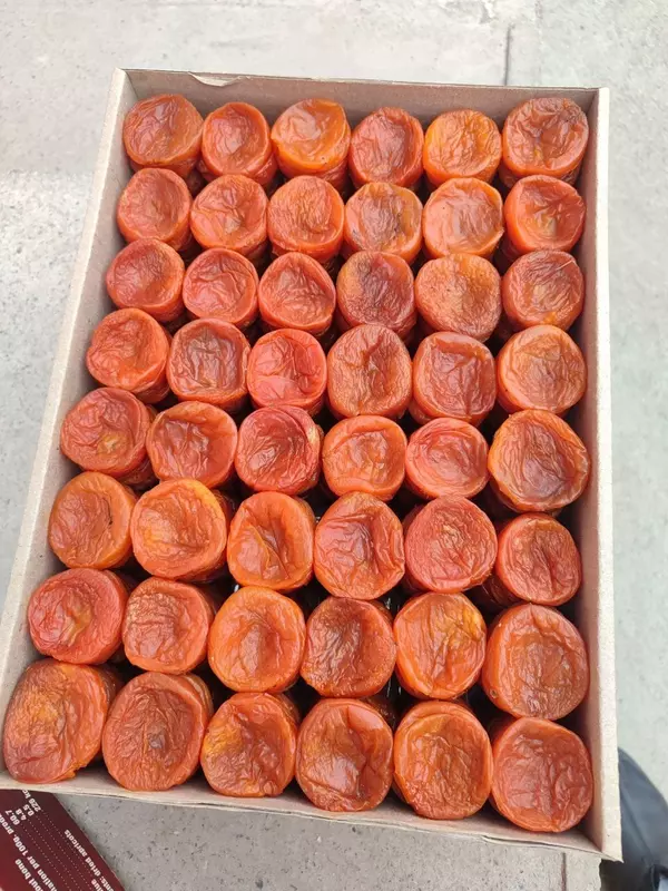 Курага Субхон. Экспорт из Узбекистана