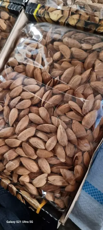 Миндаль в скорлупе. Экспорт из Узбекистана