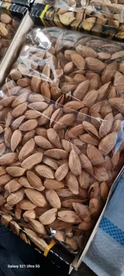 Миндаль в скорлупе. Экспорт из Узбекистана