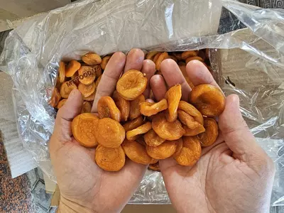 Сухофрукты в ассортименте высшее качество экспорт