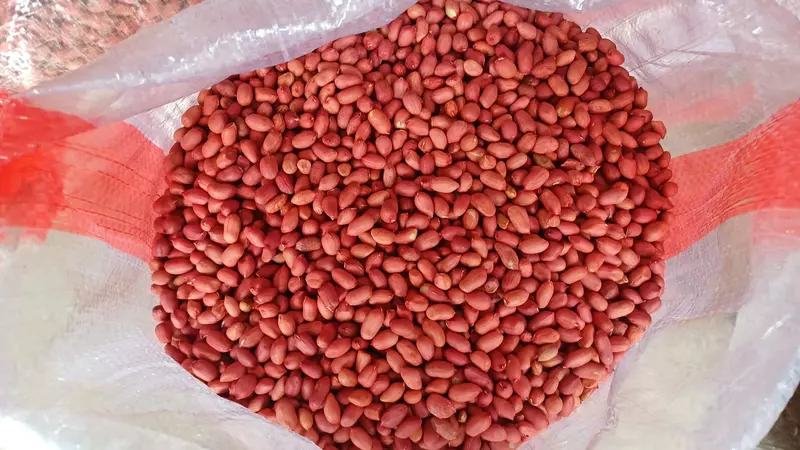 Ядро арахиса. Экспорт из Узбекистана