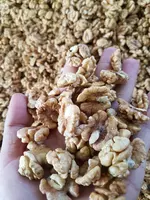 Ядро грецкие орехи бабочка светлый супер. Экспорт из Узбекистана