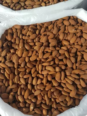 Ядро миндаля. Экспорт из Узбекистана