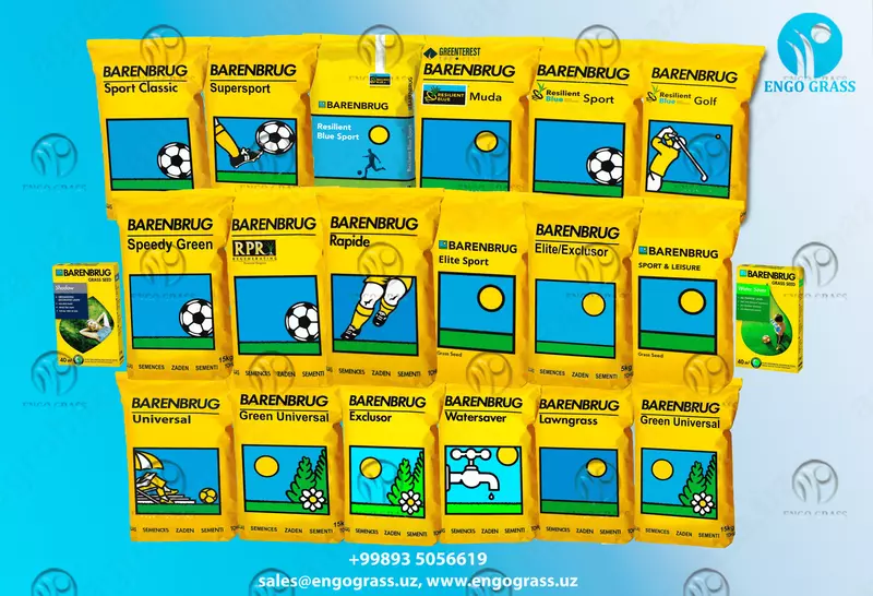 Maysa aralashmasi BARENBRUG RPR Sport.